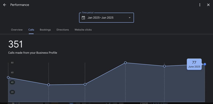 Business Profile performance chart showing 351 calls